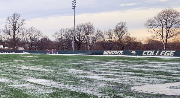 Turf Snow Plowing